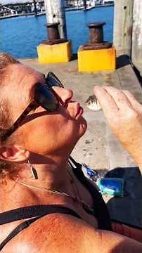 Testing out my new Penn rod and reel… started with tangled lines and ended with wrasse #fishing