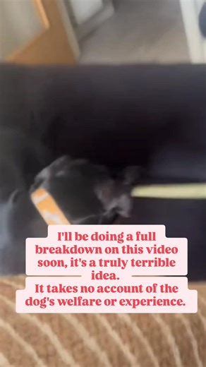 Macho training - this is a clip from a video I saw this week. The "trainer" uses a bite sleeve for resource guarding. The mindset here is "big tough trainer uses serious piece of kit to deal with serious dog so us therefore a serious person." How do I know this? Because I used to think this way. I'll be doing a full breakdown (fool breakdown 😉) explanation of the whole video next week. This attitude isn't limited to male trainers. I've seen more than enough examples of this with female trainers