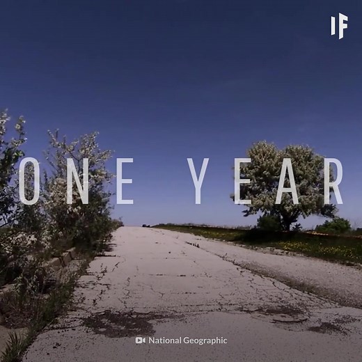 What If Humans Suddenly Went Extinct? #WhatIf | What If