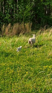My view this morning. Gotta love the country live! | Ken Berry