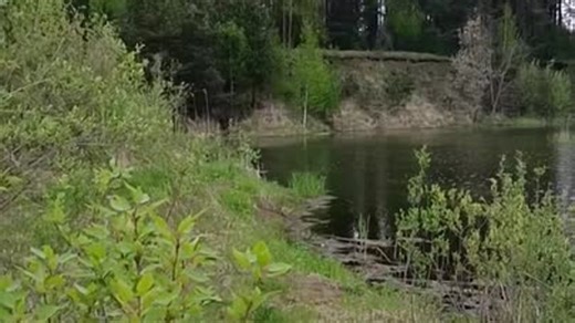 Видео КАРЬЕР ВОЗЛЕ БЕШЕНКОВИЧСКОГО АСФАЛЬТНОГО ЗАВОДА | OK.RU
