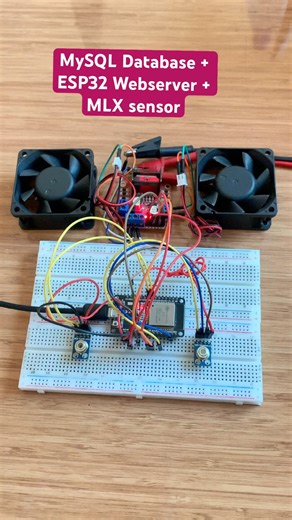 MySQL Database + ESP32 Webserver + MLX sensor