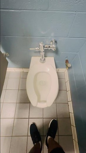 2000’s Wall Hung Eljer Signature Toilet