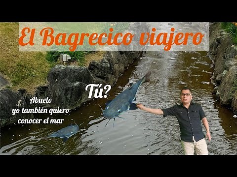 The Traveling Catfish (jungle tale) by Francisco Izquierdo Ríos