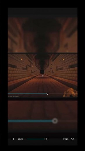 The best protagonist in Minecraft?