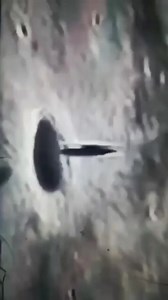 406K views · 3.2K reactions | What are your thoughts??? #alien #UFO #ufology #ufosighting #ufos #et #extraterrestrial #usaf #usa #alaska #ancientalien #spaceship | Amazing Aliens | Facebook