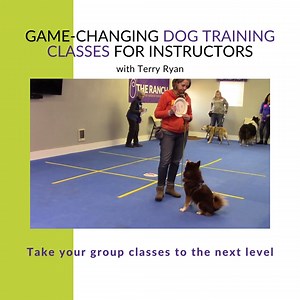 33 reactions | Change up the game on group dog training classes!...