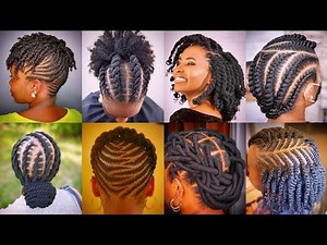 2026 Natural Hair Ideas for Black Women | Mini Twist Hairstyles, 2 Strand Twists & Natural Cornrow