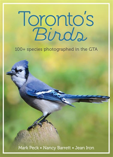 The City Gardener: Toronto is for the birds