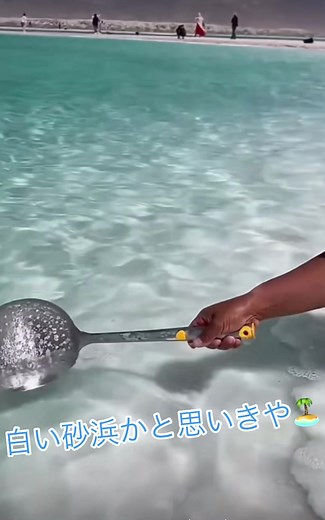 ビーチでの海水浴と美しい風景