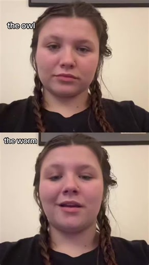 Funny Owl Wiggle Dance