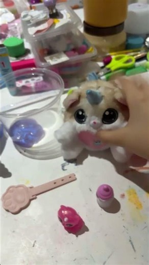 Pet care kittycorns and smitten kittens🩷 #kittycorns