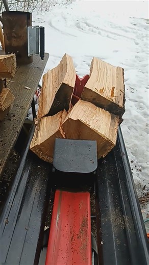 HARBOR FREIGHT 5TON ELECTRIC LOG SPLITTER #firewood #logsplitter #wood #tree #tools #harborfrieght