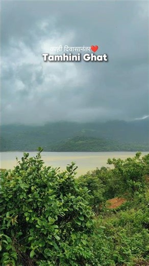 पावसातला Tamhini Ghat खरंच स्वर्ग आहे 😍🌧️ | Maharashtra Monsoon #shorts