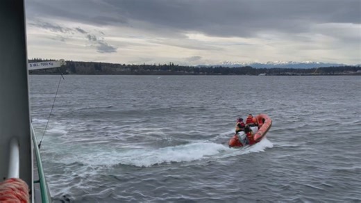 Raw: Ferry crews rescue capsized sailboat