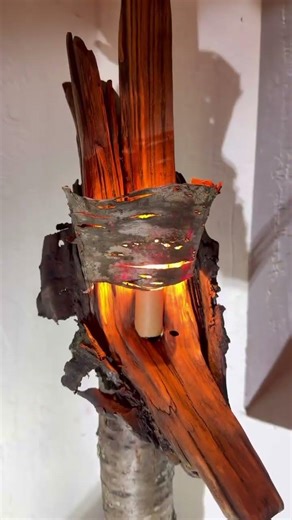 Birch Log w/ Birch Bark Shade #diy #craft #wood #tree #woodworking #craftideas #diycraft #california