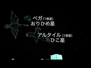 足立区から見える夏夜の星空（協力：ギャラクシティ）
