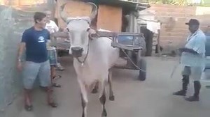 This is really Amazing :) Video Source: Random Facebook Page | India TV