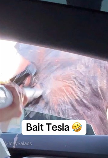Bait Tesla Prank: Hilarious Sketch Comedy Clip