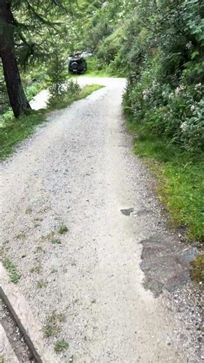 Land Rover Defender sulle strade forestali della Val di Rabbi