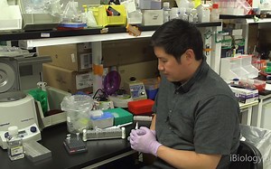 二代测序 3：用磁珠纯化 DNA 样本 - Eric Chow (UCSF)
