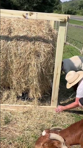 Round bale feeder for the goats