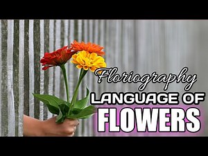 SYMBOLISM OF FLOWERS | Floriography | Language of Flowers