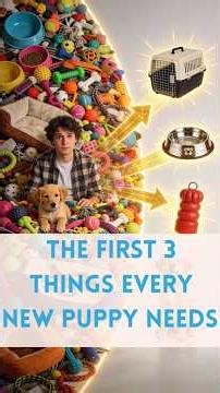 The First 3 Things Every New Puppy Needs (Vet-Approved Starter List)