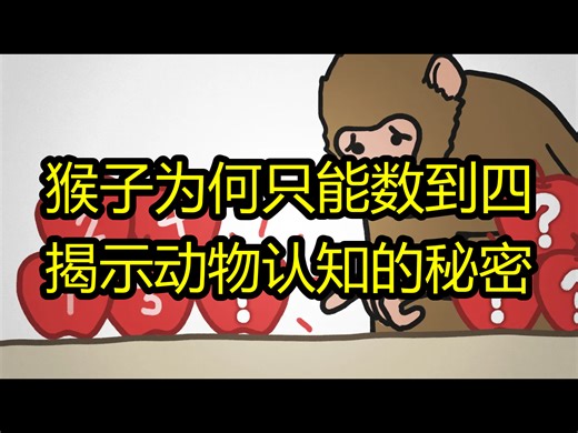 猴子为何只能数到四：揭示动物认知的秘密 - MinuteEarth