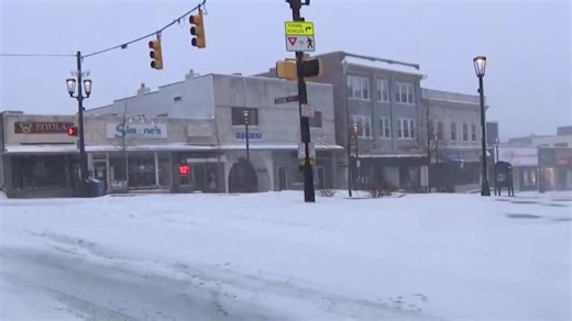 Snowstorm hits western Pennsylvania: See conditions in Pittsburgh's South Hills