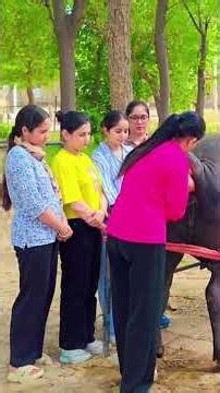 गाय भैंस में कृत्रिम गर्भाधान (AI) कैसे करें ? Artificial Insemination Training
