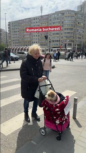 Bucharest Romania Short View 😁