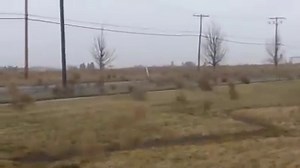 Ah yes, the tumbleweeds migrating south for the winter. How majestic. | RedOrbit.com