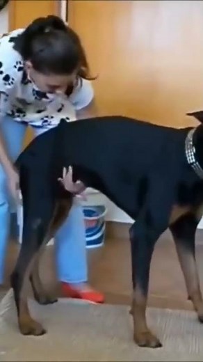 mouse looping #shorts