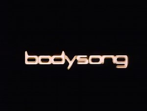 Bodysong - Simon Pummell 2003