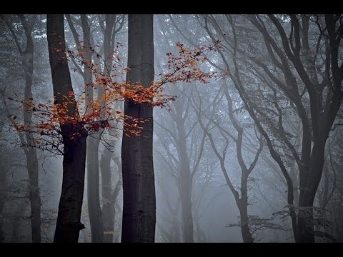 Reincarnation: Myth, Fallacy, or Biblical Truth