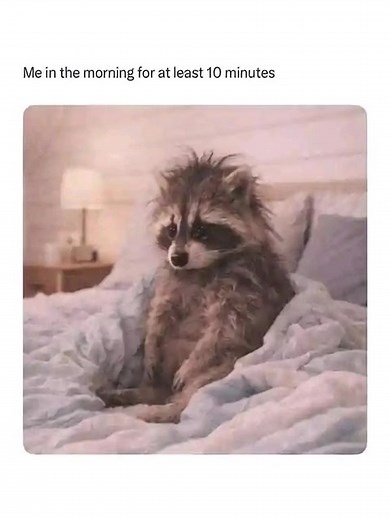 Memes to Start Your Day: Morning Laughter
