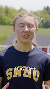 You belong at SNHU. Here's why | Southern New Hampshire University