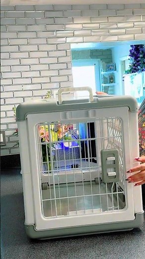 #DogCrate Pet Owner Must-Have! Foldable Dog Crate with Wheels 🐶