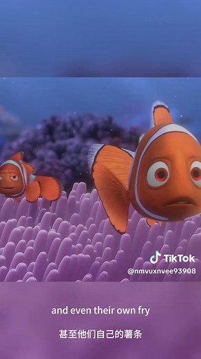 Do you remember the barracuda at the beginning of Finding Nemo#findingnemo #movie #facts #fyp