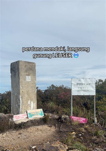 Pendaki Pemula Naik Gunung Leuser: Pengalaman Pertama