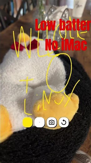 Blu error linux pingüino