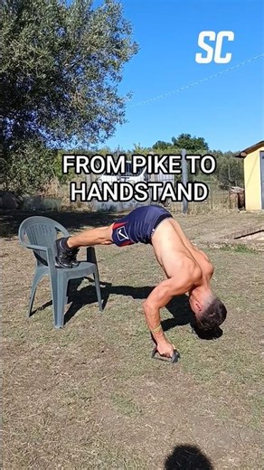 From Zero to Handstand Push-ups - Step by Step Progression