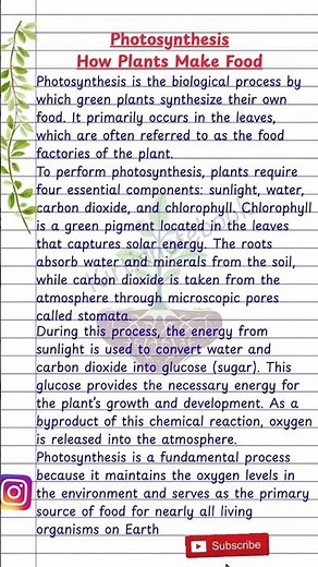Photosynthesis| Process of Photosynthesis| Photosynthesis in Plants| #sciencefacts