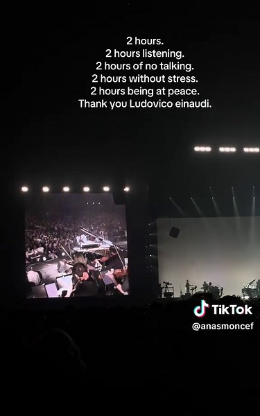 Ludovico Einaudi Concert Experience in Paris