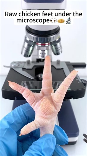 203K views · 895 reactions | Did you know what it is looks like when it's magnified 400 times? #undermicroscope #microscope #fyp #reelsviralシ #reelsvideo | Micromagic6 | Facebook