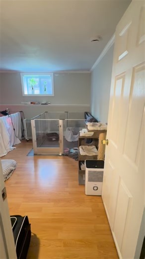 Nursery Room Tour ✨ | Euphoric Sphynx