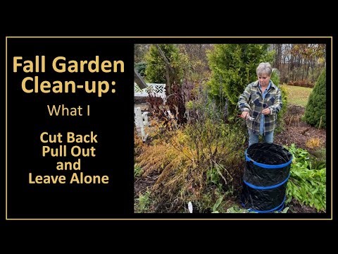 Fall Garden Clean-up: What I Cut Back Pull Out and Leave Alone