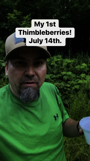 My 1st thimbleberries for 2025. Get ready it’s going to be a good berry picking season. Thimbleberries on vanilla ice cream is delicious. —Yooper Steve | Upper Peninsula of Michigan