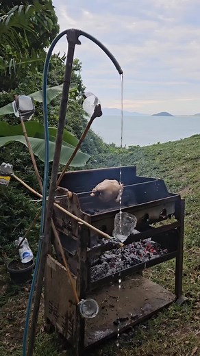 How Rotisserie Chicken is Made: Mechanical Engineering Exploration